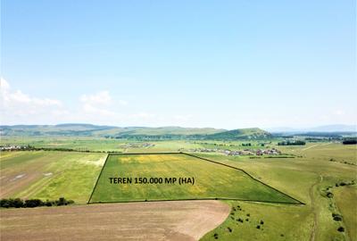 Teren Bod - ideal dezvoltare cartier rezidential - 3