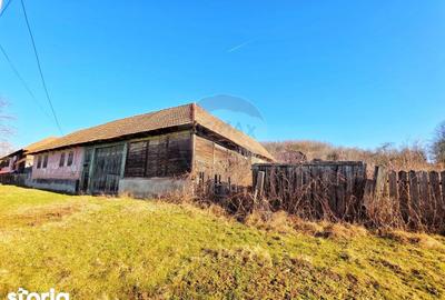 Casă cu 4 camere cu Teren 10486 Mp în Ohaba Lungă - 6