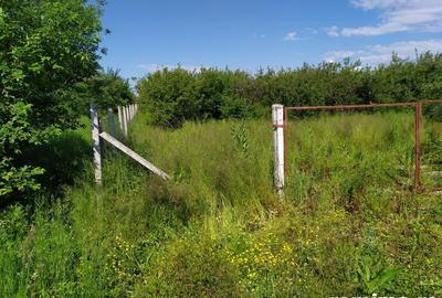 Teren de 10000 mp, în Băicoi - 7