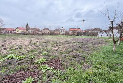 Casă cu 7 camere cu Canalizare în Bod - 4