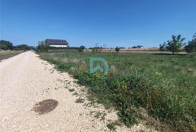 Teren intravilan de vanzare Stupini Brasov - 3