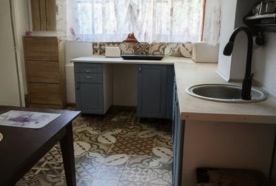 Casa individuala Centrul Civic - 2