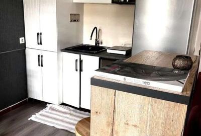 Garsonieră, mobilată în Băneasa - 8