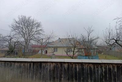 Casă cu Teren 4200 Mp în Dumbrăvița - 2