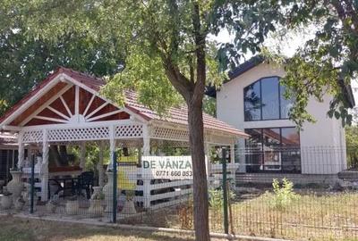 Casă cu Teren 1500 Mp în Variașu Mare - 1