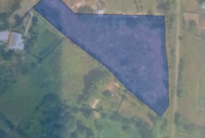 Spațiu comercial, în Bogdănești - 4