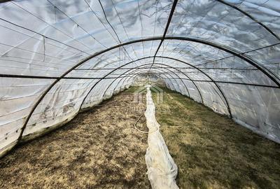 Casă cu Teren 1270 Mp în Transilvaniei - 14