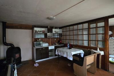 Mosnita Veche- Vila 2 apartamente- Teren 1100 mp - 14