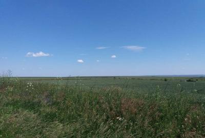 Teren de 4200 mp, în Tulucești - 2
