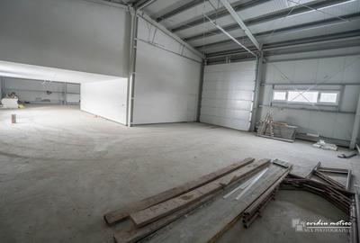 Hala singur la curte, langa autostrada - 2