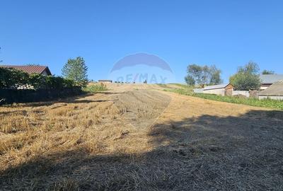 Teren Construcții intravilan de 7500 mp, în Moara Carp - 2