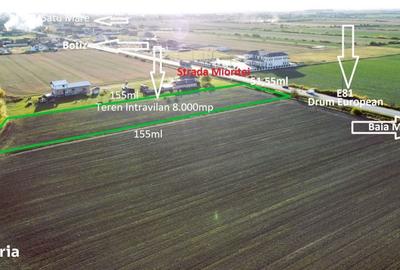 Teren de 8000 mp, în Botiz - 3