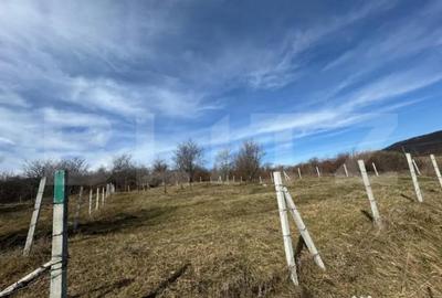 Teren de 1000 mp, în Central