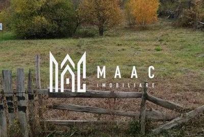 Teren de 3000 mp, în Tilișca - 3