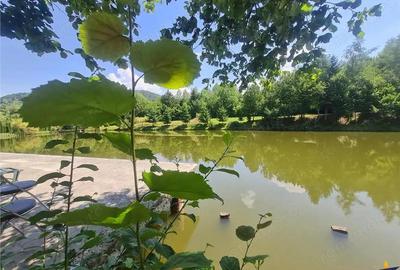 Teren de 23000 mp, în Central