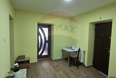 Casa de Vis la Macea - Complet Renovata si Gata de Locuit! - 19