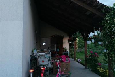 Vila Individuala Sinmihaiul Roman - 13