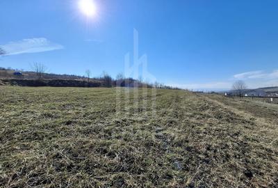 Teren Construcții intravilan de 439 mp, în Hamba - 1