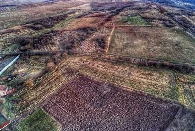 Teren de 1,200 mp cu potential in Covasant, strada Liliacului - 4
