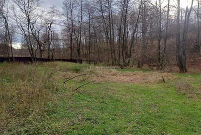 Resita, Teren Drept Intravilan, Langa Prau si Drum, 1308 Mp., 15 Euro Mp., Renk - 1