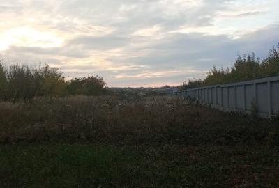 Teren intravilan Paleu, 2200 mp - 1