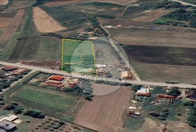 Casă individuală cu 2 camere cu Canalizare în Borșa - 2