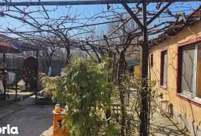Casă cu 3 camere decomandat cu Canalizare în Viile Noi - 5