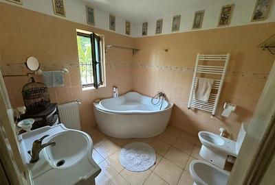 Casa deosebita in sat Podis - zona Dubas - 13