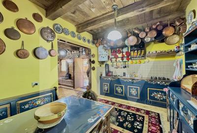 Cabana rustica de vis pe Valea Avrigului – un colt de rai in mijlocul naturii - 19