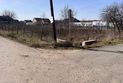 Spațiu comercial, în Borș - 7