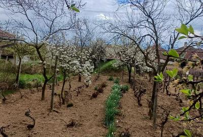 Casă în Petreu - 6