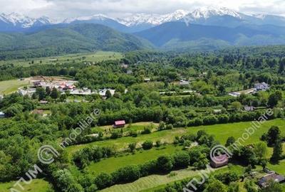 Teren Intravilan pe Valea Avrigului loc Avrig suprafata 7100 mp - 4