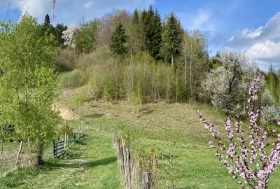 Teren panoramic insorit, utilitati, panta mica si padure, turism sau vacanta - 12