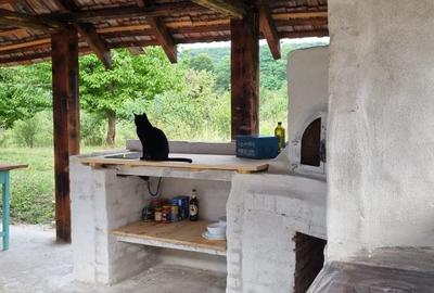 Casă individuală cu 5 camere cu Canalizare în Valea lui Enache - 4