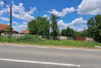 Casă cu 4 camere cu Teren 6153 Mp în Sinersig - 6