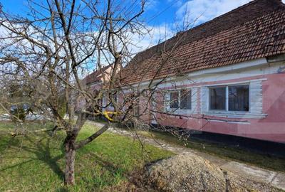 Casa saseasca de vanzare, Livezile - 2