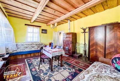 FILM! Doua case+anexe,rezidential/ comercial/de vacanta,Zagon,Covasna - 2