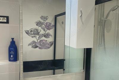 De inchiriat Birou Apartament de Lux, Central - Podgoria, Zona Bancilor - 8