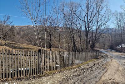 Teren de 4100 mp, în Secăria - 3