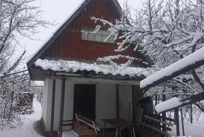 Teren de 1500 mp, în Salonta - 7