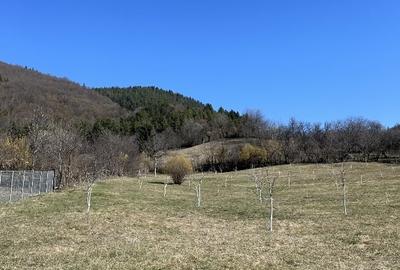 Vând teren intravilan în Piatra Neamț, zona Bistrița