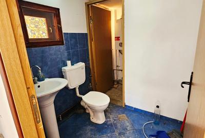 Vanzare proprietate mixtă – Casă + spațiu birou, Ultracentral - 37