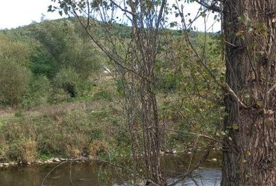 Teren langa apa 2230mp MEHADIA - 5