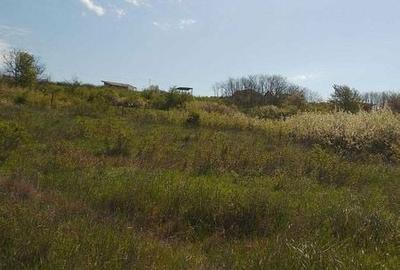 Teren de 10000 mp, în Copou - 7