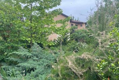 VILA INDIVIDUALA P+1 / PIPERA / DRUMUL BISERICII / 1350 TEREN - 10