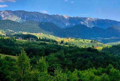 Vând 1000 mp în̈ Moieciu, cu imens potențial investițional Vând 1000 mp în̈ Moieciu, cu imens potențial investițional - 9