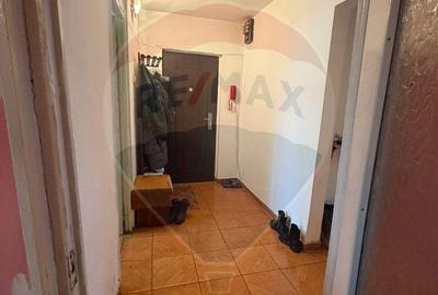 Apartament cu 3 camere decomandat, mobilat în Valea Rosie - 3