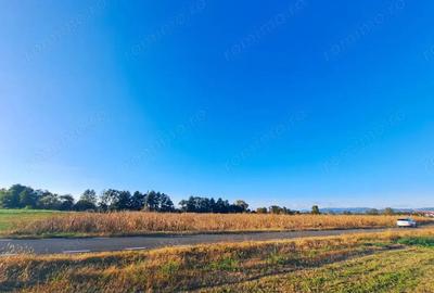 Teren extravilan arabil 7.526 mp (poate fi trecut in intravilan) in Satul Bacia din Comuna Bacia, HD - 6