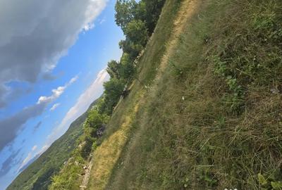 Teren de 2670 mp, în Bradu