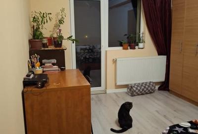 Apartament cu 2 camere, mobilat în Ozana - 12